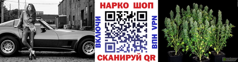 Какие есть наркотики Гагарин Амфетамин  Мефедрон  Псилоцибиновые грибы  Канабис  ГАШИШ 
