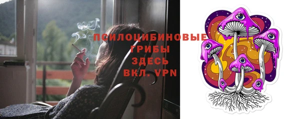 spice Балабаново
