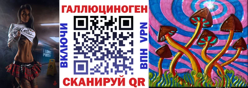 купить закладку  Гагарин  Галлюциногенные грибы Psilocybine cubensis 